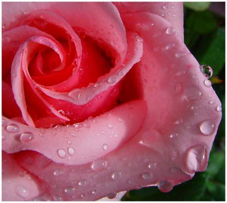 ����������������������������������������������������